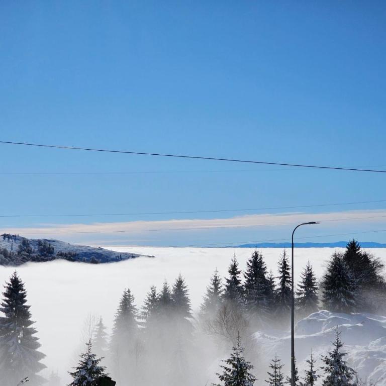 Friends Apartmany Kopaonik - Apartman sa 2 Spavaće Sobe - 15