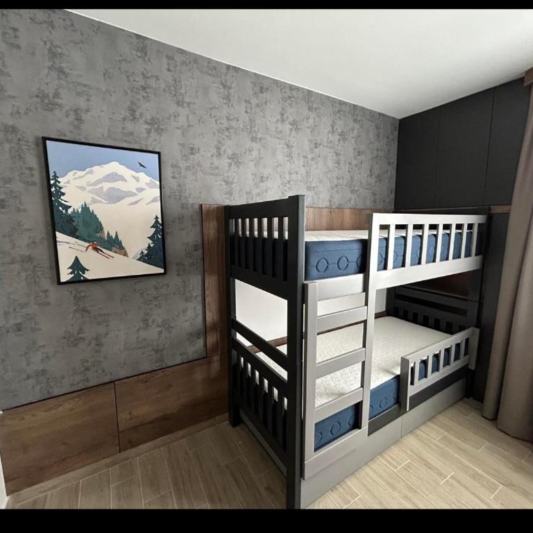 Friends Apartmany Kopaonik - Apartman sa 2 Spavaće Sobe - 23