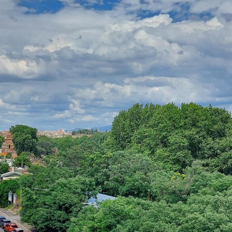 YCH-Rifugio incantato sul Tevere - Appartamento con 1 Camera da Letto - 22