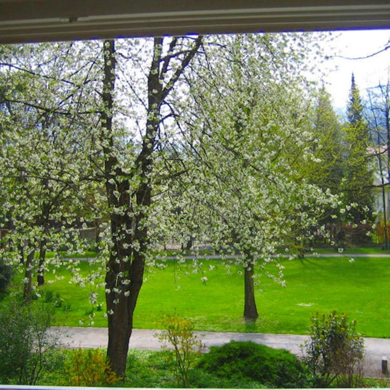 Ferienwohnung am Ortenaupark - Apartment mit Gartenblick - 6
