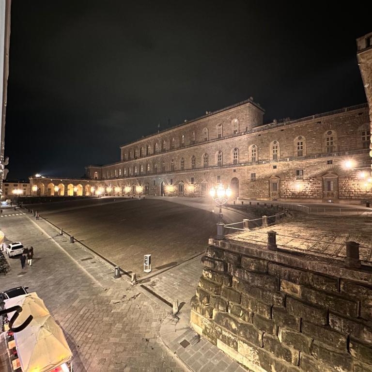 Luxurious View on Pitti Palace - Appartamento con 2 Camere da Letto - 70