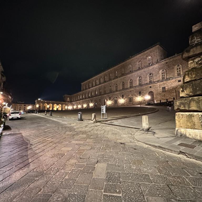 Luxurious View on Pitti Palace - Appartamento con 2 Camere da Letto - 73