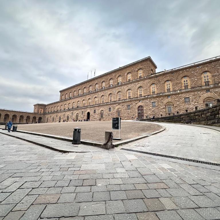 Luxurious View on Pitti Palace - Appartamento con 2 Camere da Letto - 10