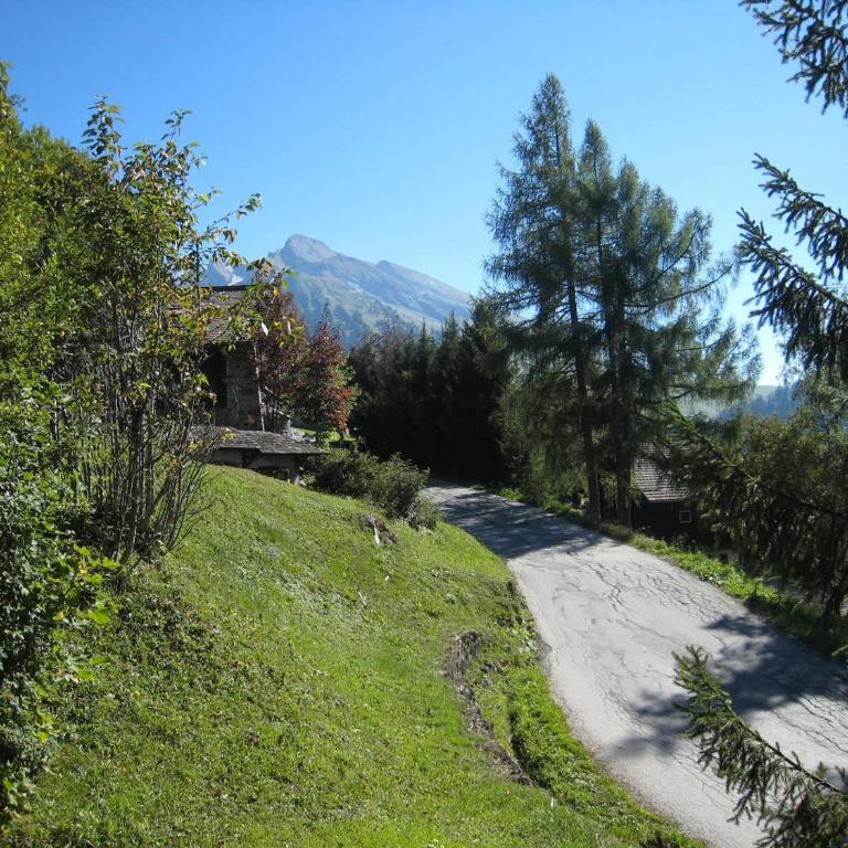 Appartement cosy 4-6 pers balcon, ski au pied, parking couvert - FR-1-459-27 - Apartamento (6 adultos) - 13