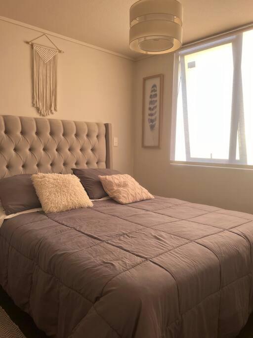 Depto Residencial Guardia24 Hrs - Apartamento de 1 dormitorio - 17