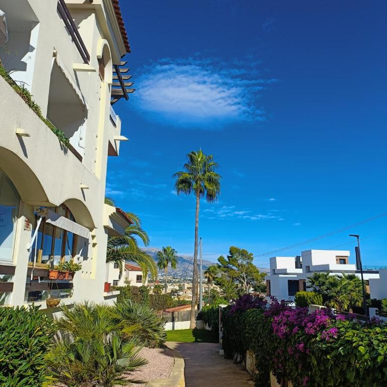 Apartamento Font Rotja L'Albir - Apartamento de 1 dormitorio - 21
