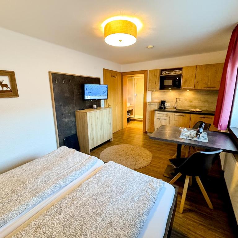 Appartement Bergfried Kaprun, Ski-in Ski-out, Sommerkarte und Panoramablick - Studio - 6