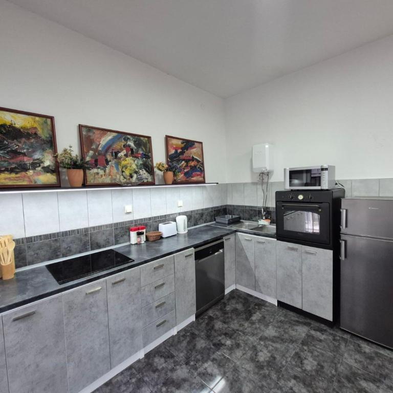 Authentic Belgrade Centre Apartments for large groups, Republic Square - Up to 39 people in 4 apartments - Apartman s 4 Spavaće Sobe i Terasom - 9