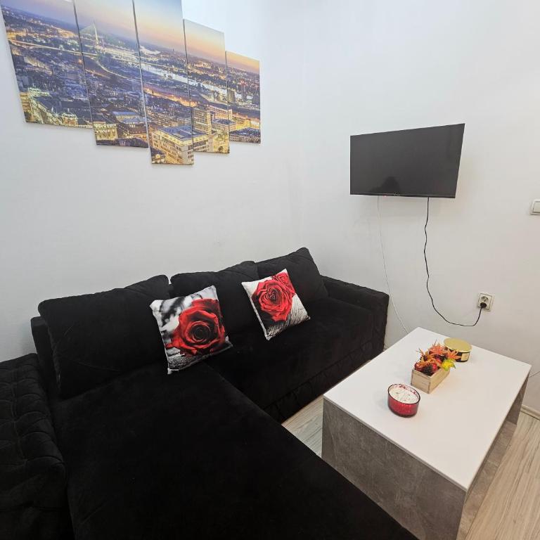 Alexis Apartman - Apartman sa 1 Spavaćom Sobom - 6