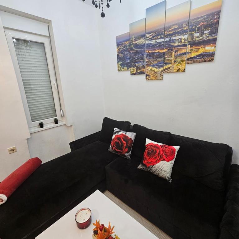 Alexis Apartman - Apartman sa 1 Spavaćom Sobom - 7