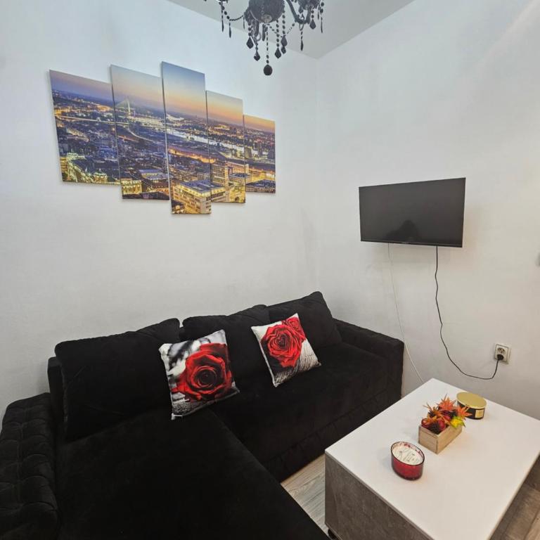 Alexis Apartman - Apartman sa 1 Spavaćom Sobom - 8