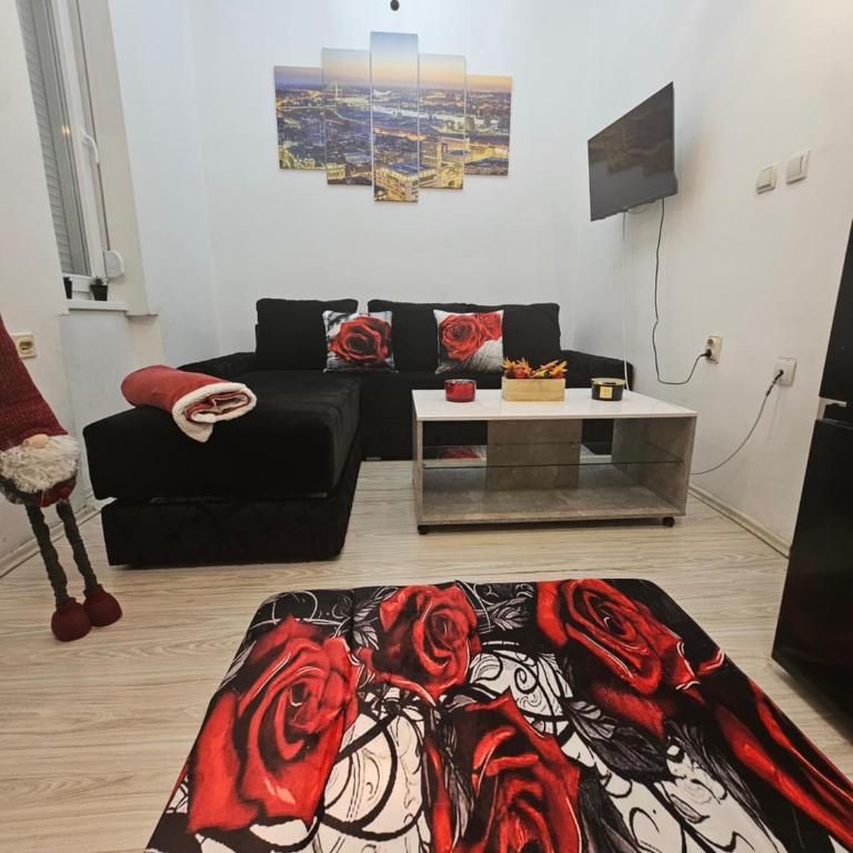 Alexis Apartman - Apartman sa 1 Spavaćom Sobom - 5