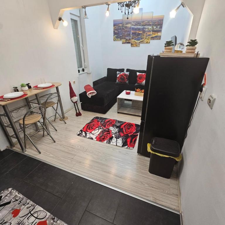 Alexis Apartman - Apartman sa 1 Spavaćom Sobom - 14