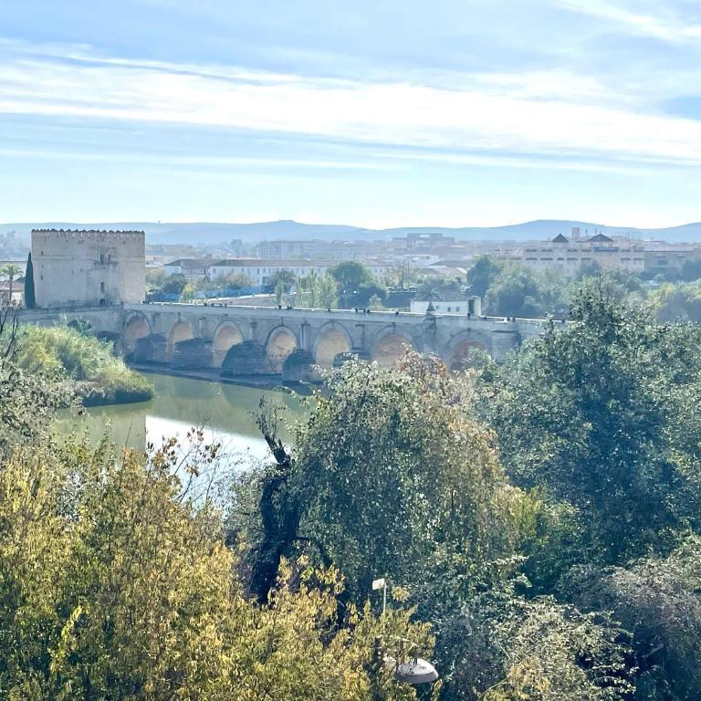 Geysotur Balcón del Puente Romano con Parking Gratis - Two-Bedroom Apartment - 4