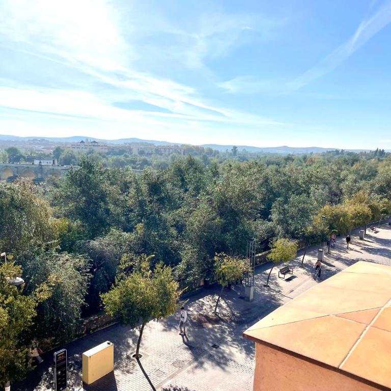 Geysotur Balcón del Puente Romano con Parking Gratis - Two-Bedroom Apartment - 41
