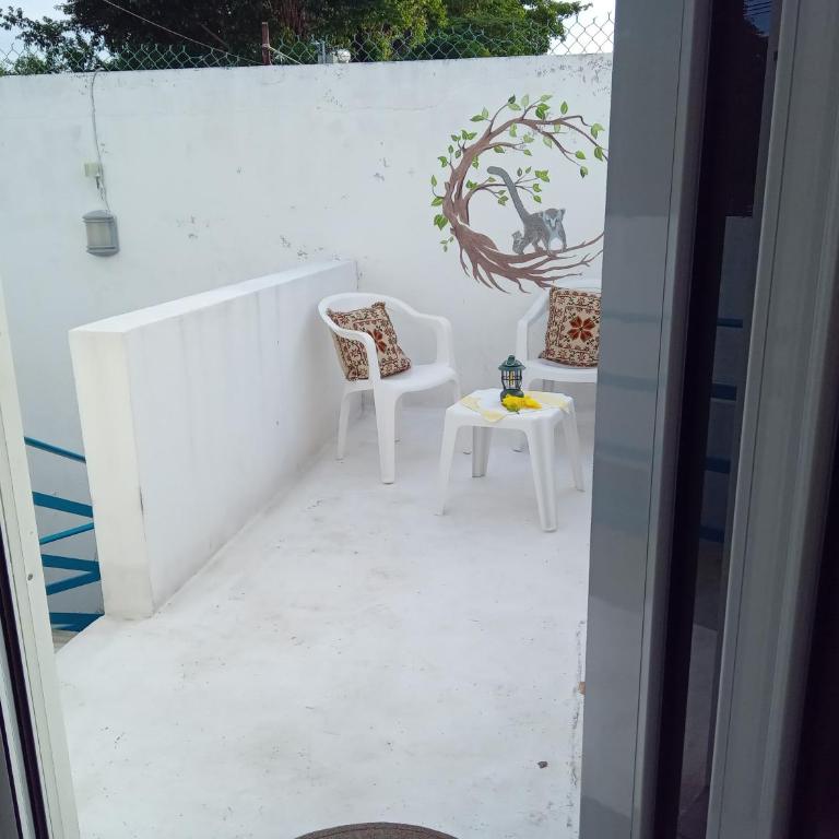 Estudio Coatí Azul en la Isla de Cozumel en el Caribe - Estudio con cama extragrande - 29