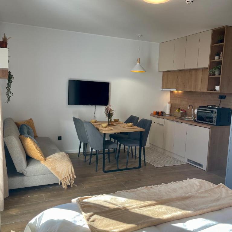Apartman Lawa Kopaonik - Apartman sa 1 Spavaćom Sobom - 5