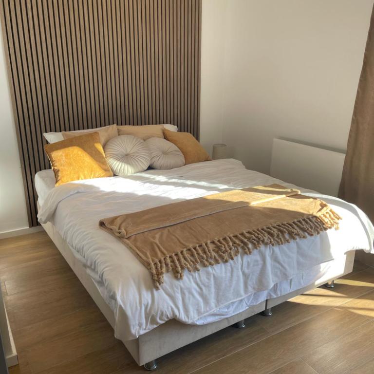 Apartman Lawa Kopaonik - Apartman sa 1 Spavaćom Sobom - 12