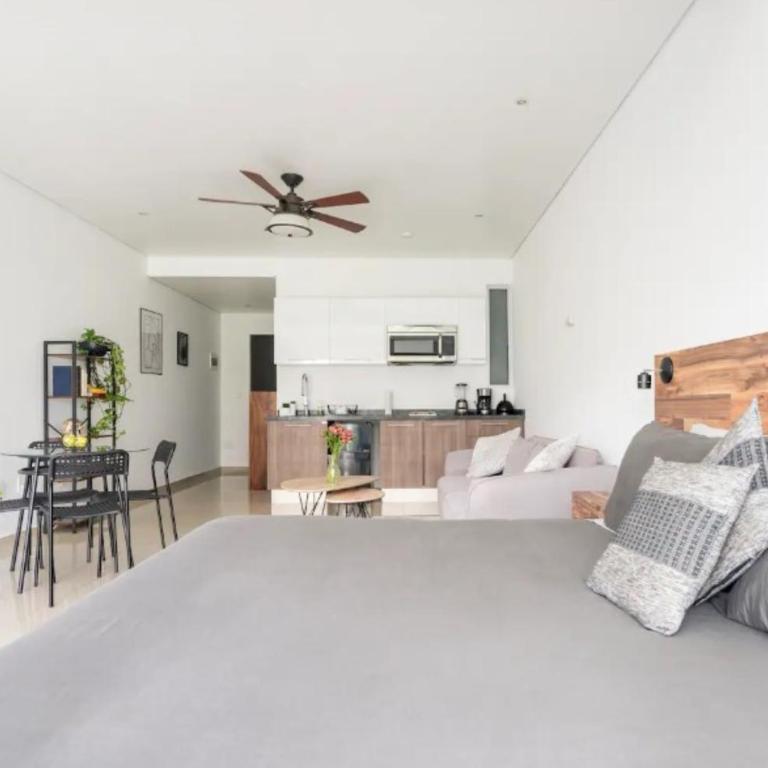 S2306- 1BR 1 BTH Deluxe - One-Bedroom Apartment - 9
