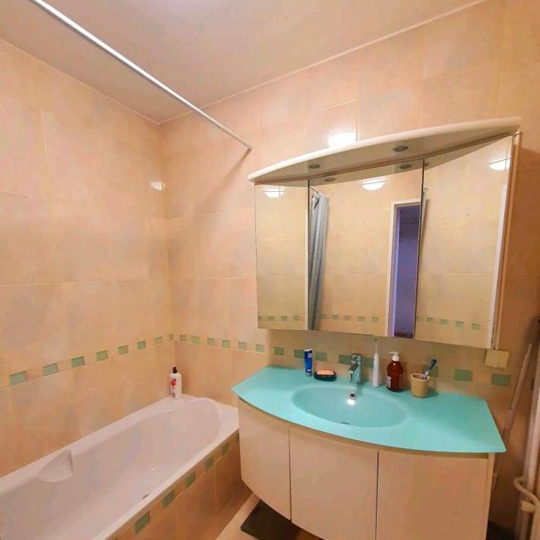 Renewed Spacious 35m2 Studio in Paris - Appartement 1 Chambre - 4