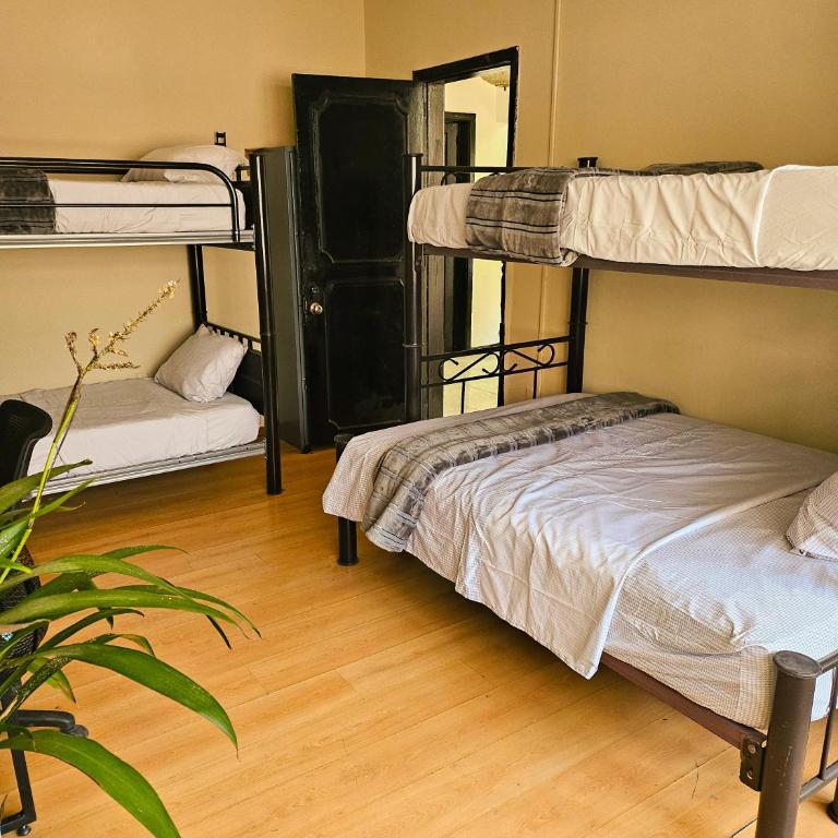 Guest House del Valle - Male Dormitory Room - 4