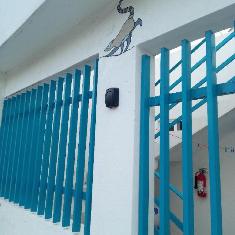 Estudio Coatí Azul en la Isla de Cozumel en el Caribe - Estudio con cama extragrande - 36