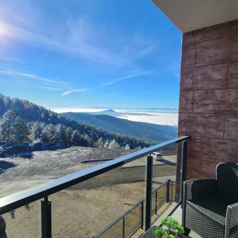 Apartman Vidik Family Divčibare - Apartman sa 1 Spavaćom Sobom - 1