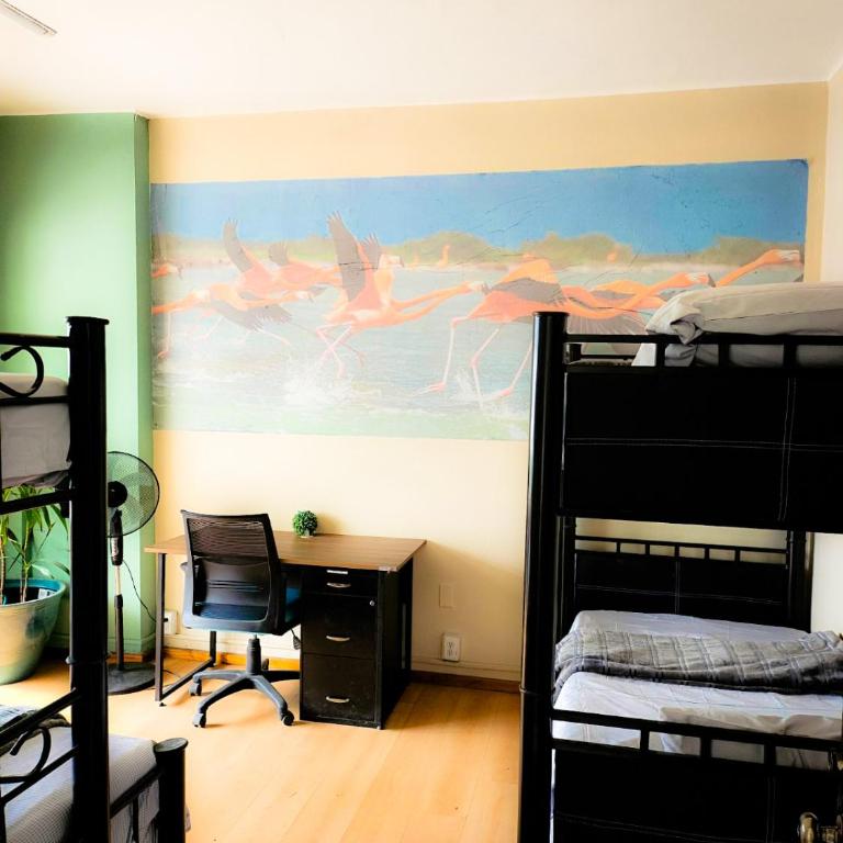 Guest House del Valle - Male Dormitory Room - 3