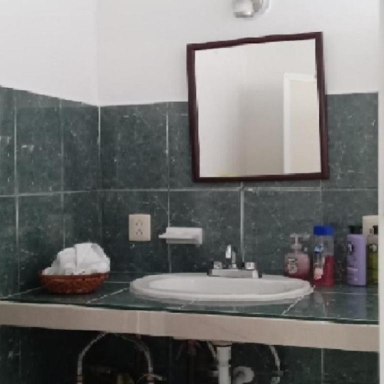 Estudio Coatí Azul en la Isla de Cozumel en el Caribe - Estudio con cama extragrande - 34