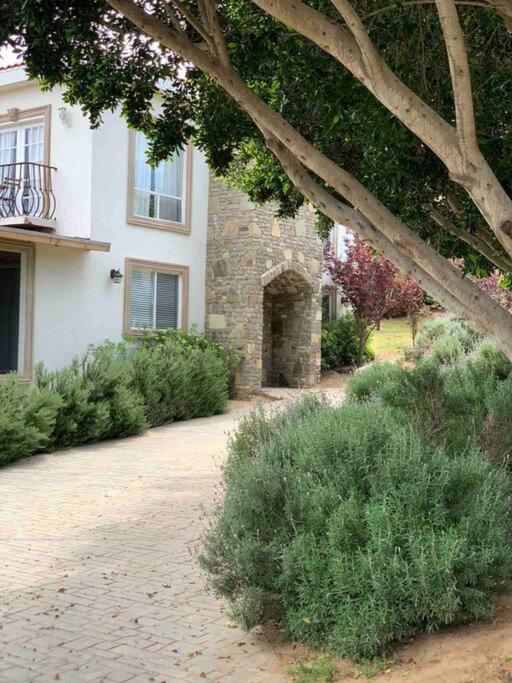 Casa Marieta en Valle de Guadalupe - Two-Bedroom Villa - 20