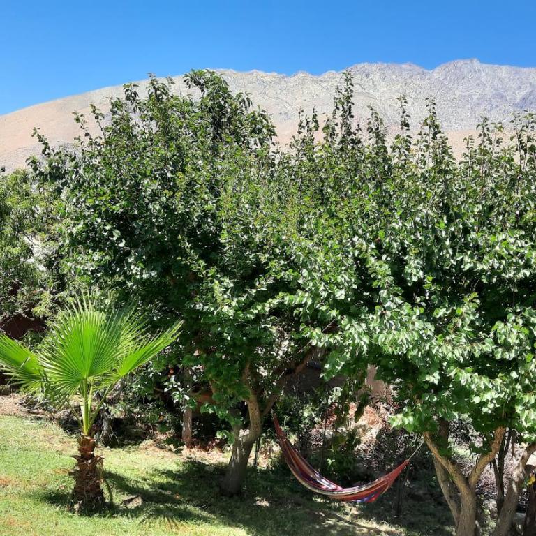 Refugio Renacer - Casa de 3 dormitorios - 44