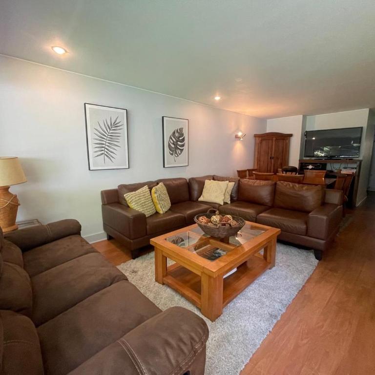 Amplio y lindo departamento a pasos del centro de Pucón - Apartamento de 3 dormitorios - 34