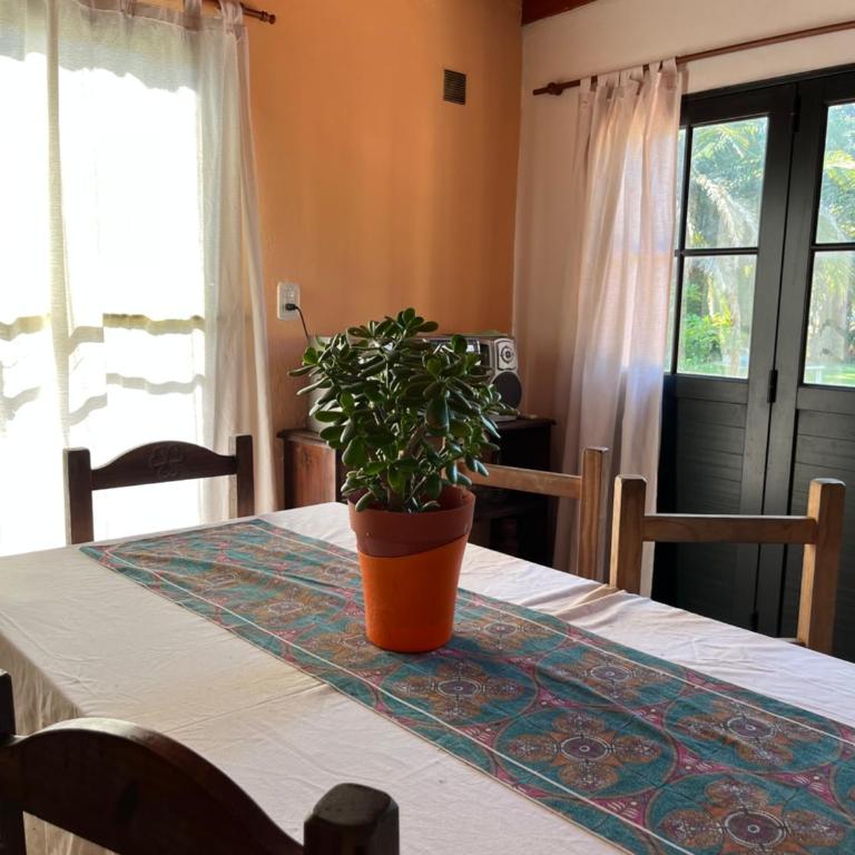 Trebol - One-Bedroom House - 12