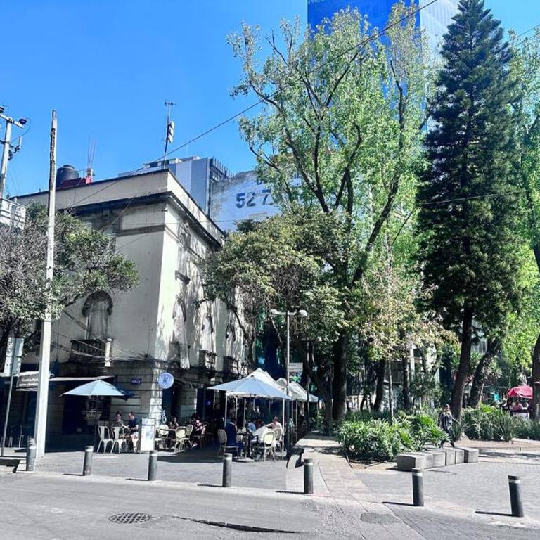 Absolute BEST location in CDMX - Apartamento de 1 dormitorio - 12