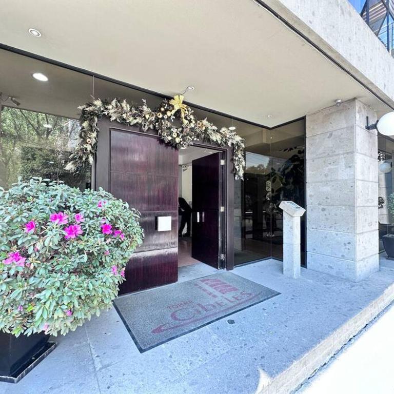 Absolute BEST location in CDMX - Apartamento de 1 dormitorio - 22