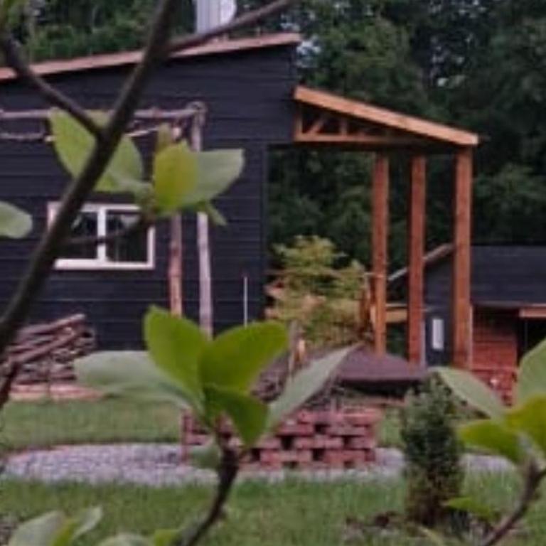 Karu-Terra cabin - One-Bedroom House - 13