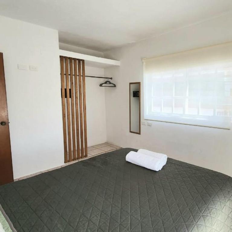 Casa Caimán - One-Bedroom Apartment - 2