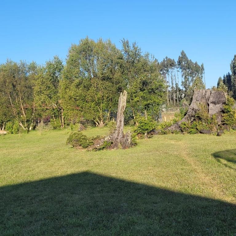Mi refugio rural - Villa de 3 dormitorios - 6