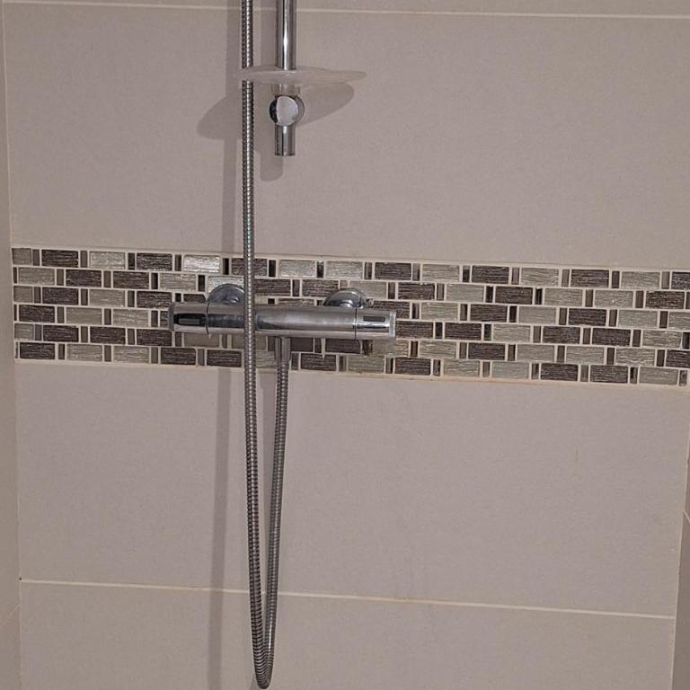 Maison Centre ville avec Jacuzzi - Maison 2 Chambres - 17