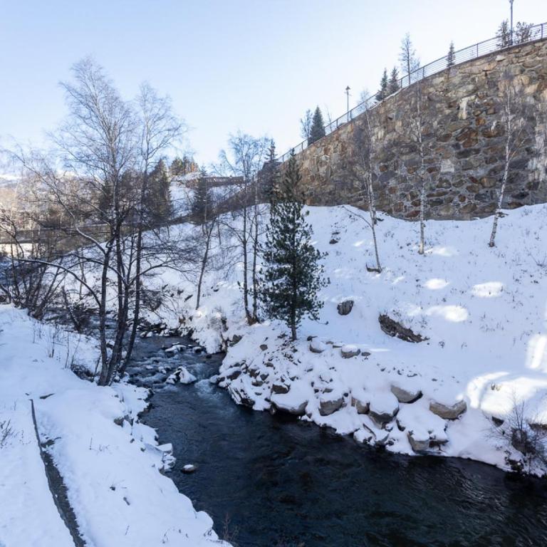 6 PEOPLE Luxury Wooden Apartment 1 Min to Ski Lift Pool Sauna by SELECT RENTALS ANDORRA - Apartamento con vistas a las montañas - 22