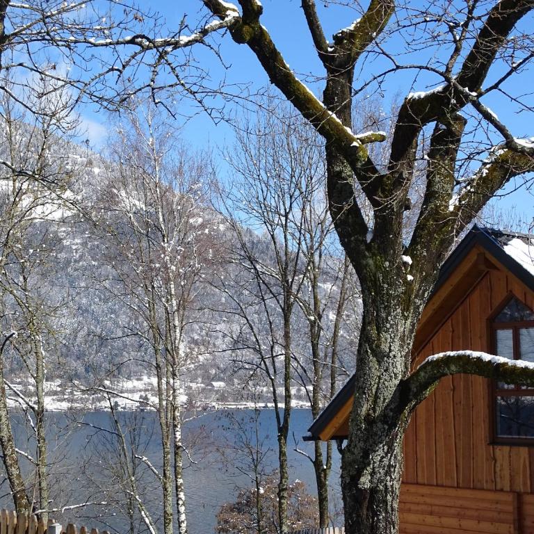 Feriendorf Berghof - Haus mit 3 Schlafzimmern - 8