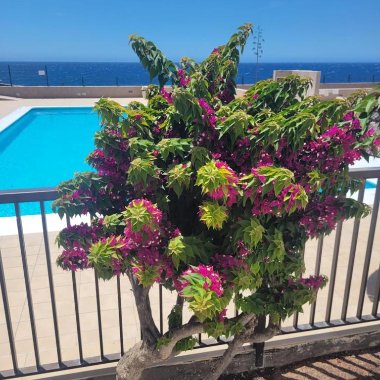 Atlantic View Tenerife South - Apartamento de 1 dormitorio - 22