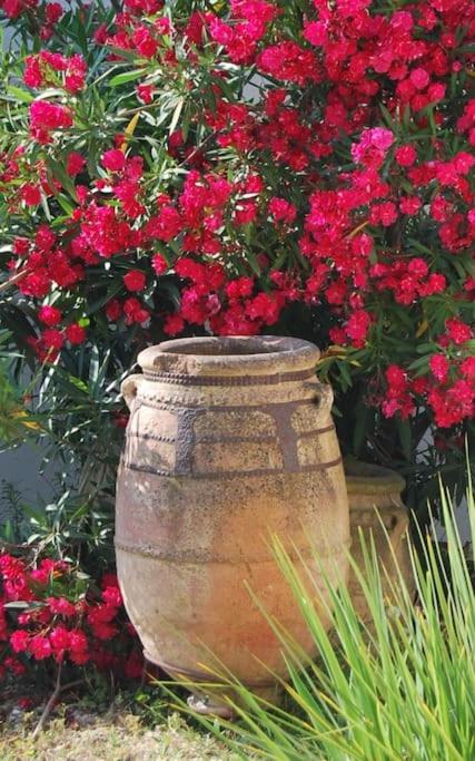 Traditional Riad Camargue Arles - Two-Bedroom Apartment - 60