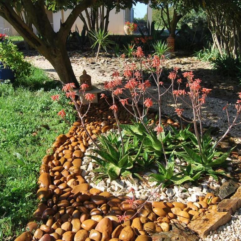 Traditional Riad Camargue Arles - Two-Bedroom Apartment - 38