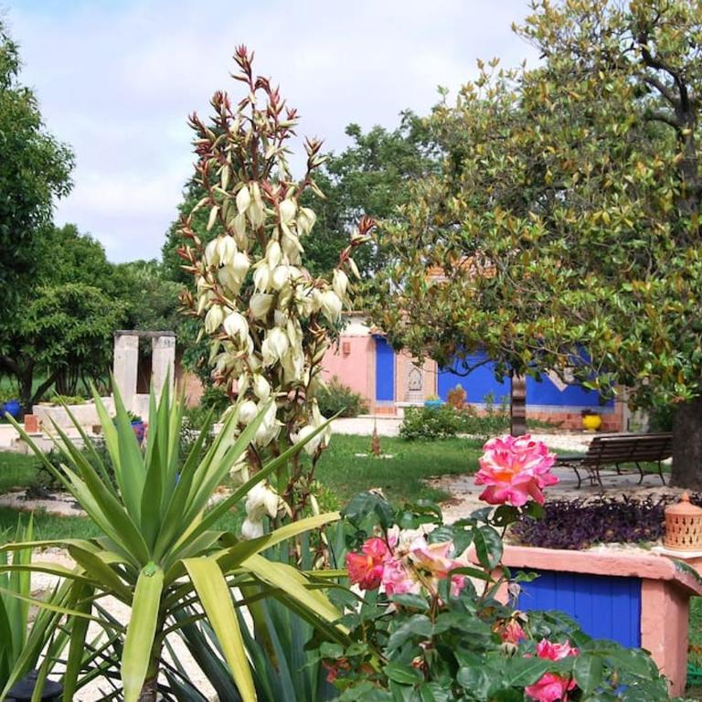 Traditional Riad Camargue Arles - Two-Bedroom Apartment - 47