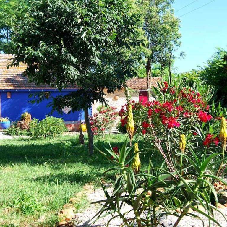 Traditional Riad Camargue Arles - Two-Bedroom Apartment - 44