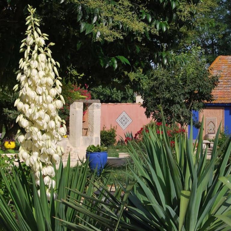 Traditional Riad Camargue Arles - Two-Bedroom Apartment - 59