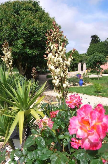 Traditional Riad Camargue Arles - Two-Bedroom Apartment - 55