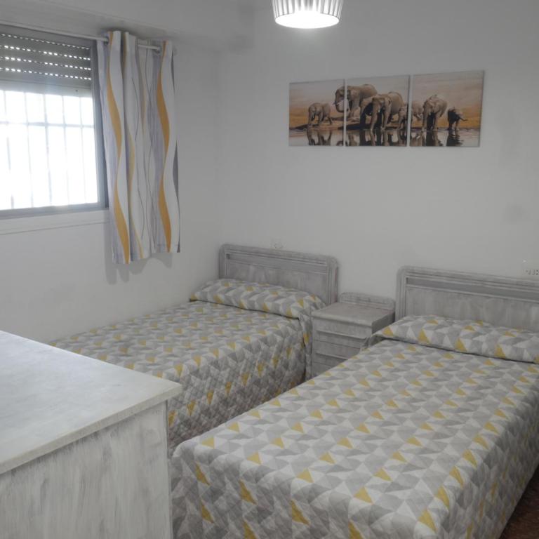Malvarrosa, 8-54 - Apartamento - 7