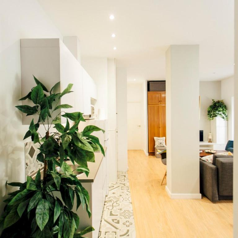 Bright Renovated Full of Natural Light 2BR 2BA - Apartment - 4